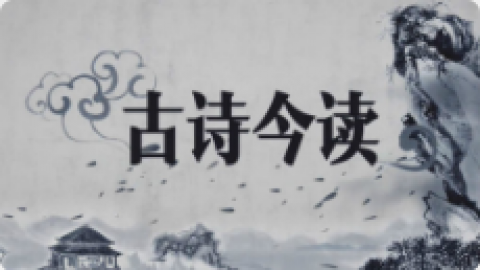 默认教学计划 