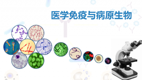 默认教学计划 
